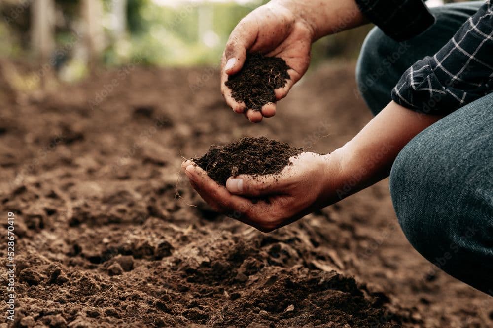 How to use Synthetos