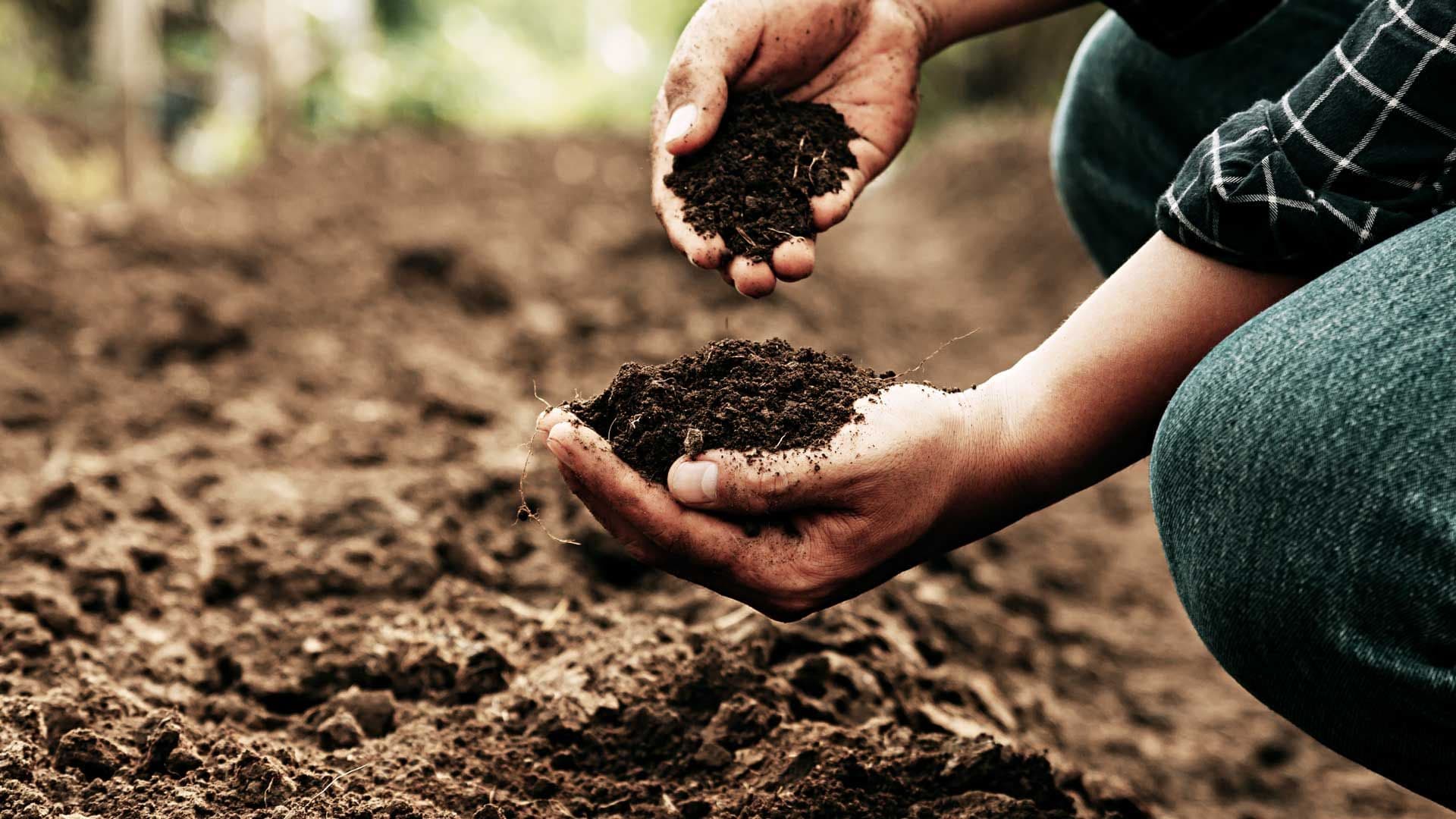 Two hands holding soil