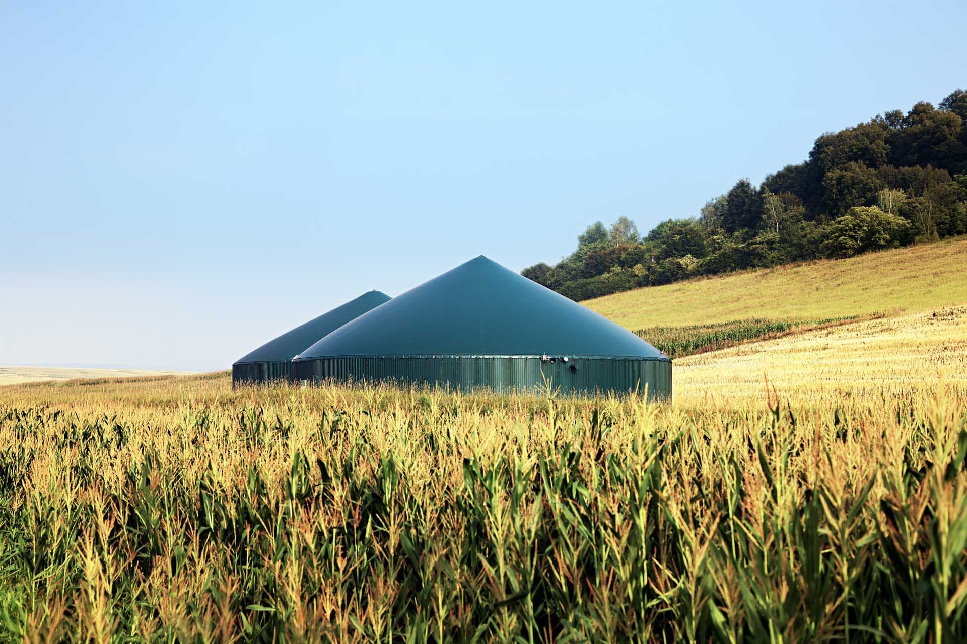 Biogas plant